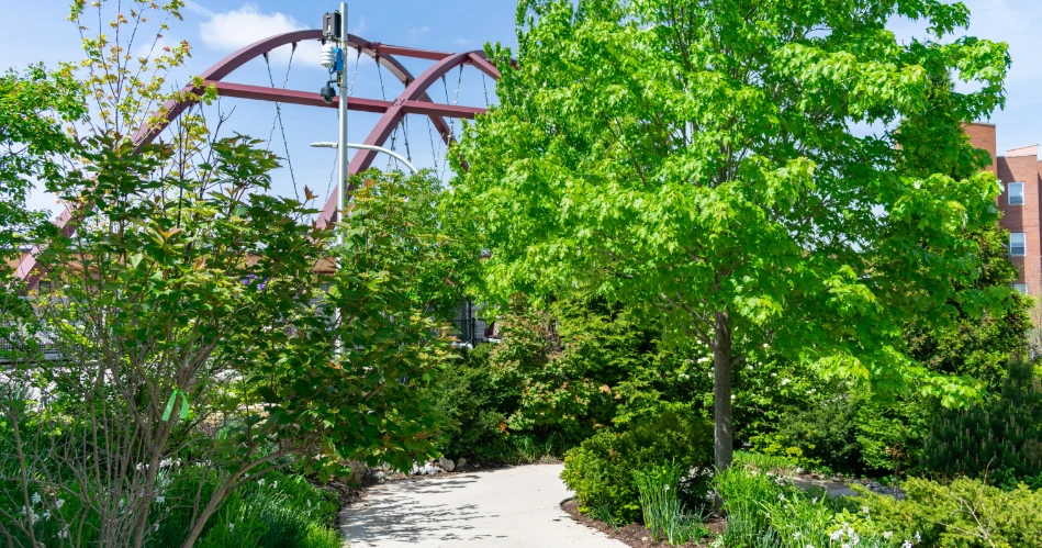 Ultimate Chicago Travel Guide: Top Attractions & Hidden Gems